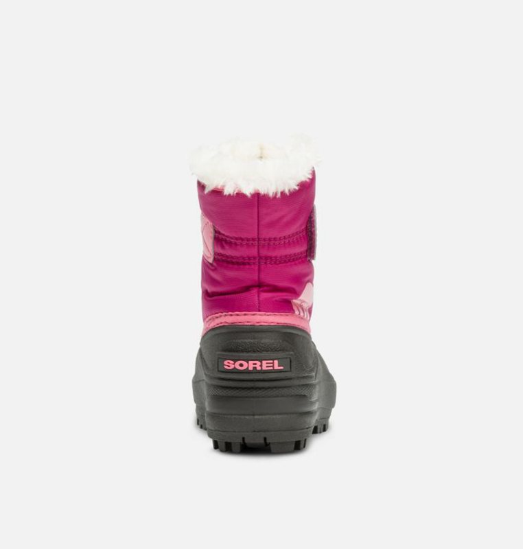 Botas Nieve Sorel Niños - Toddler Commander™ Rosas/Negras - 49370-VWFO